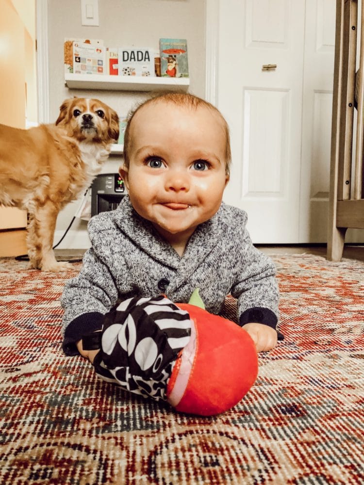 How to Make a Billy Bookcase Look Built In Love & Renovations