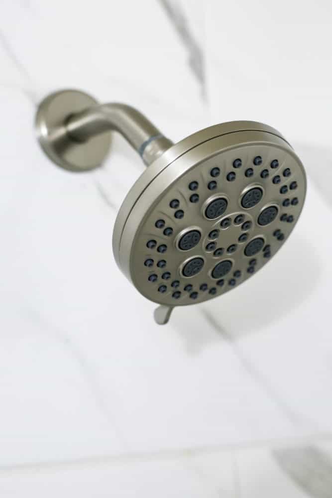 Pfister Jaida shower head