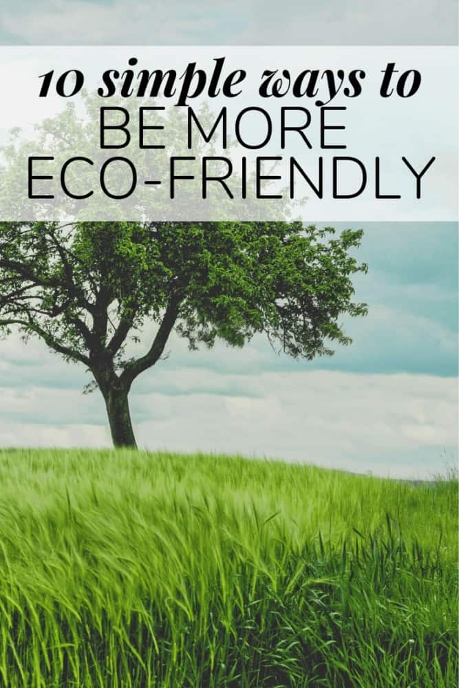 tree with text overlay - "10 simple ways to be more eco friendly"