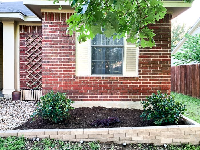 front garden bed