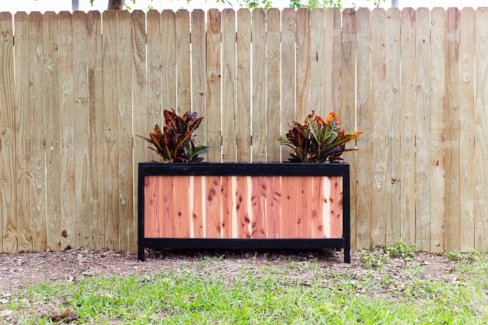 diy cedar bench with planter