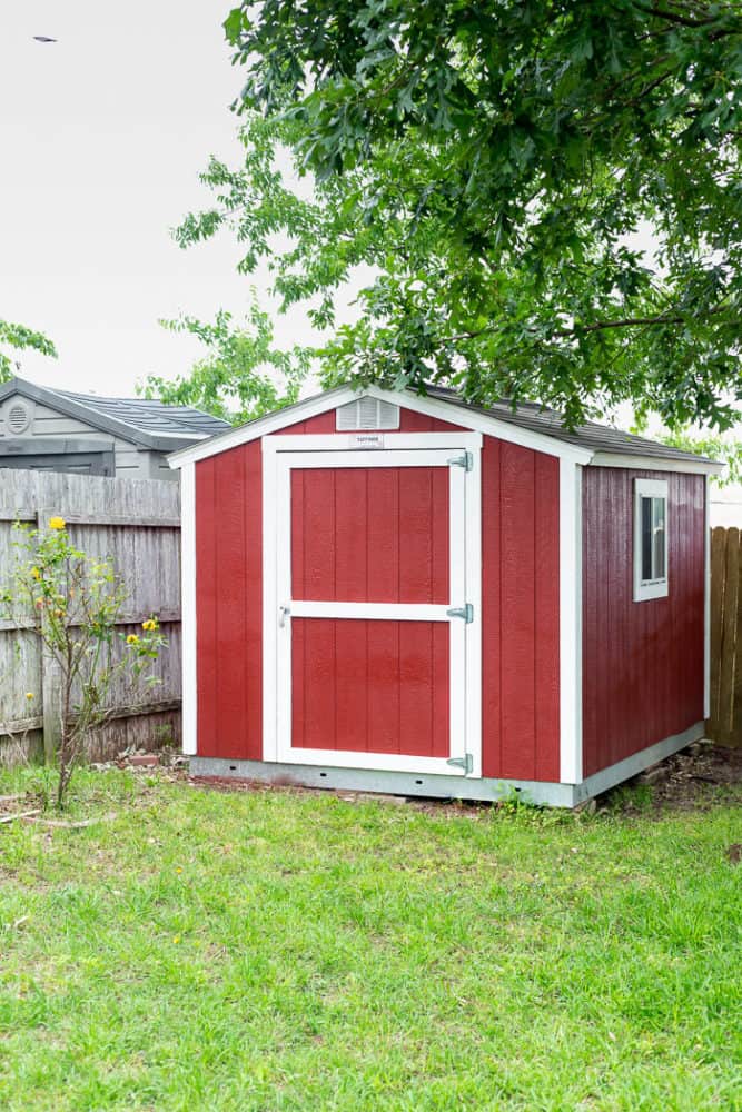 backyard with red storage shed