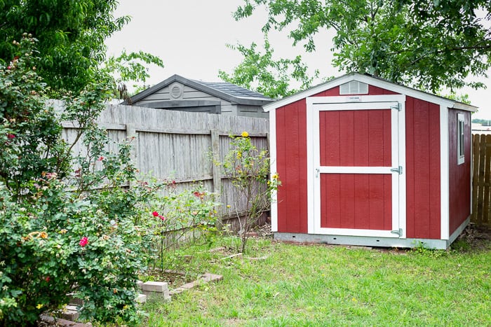 A small red shed in a backyard