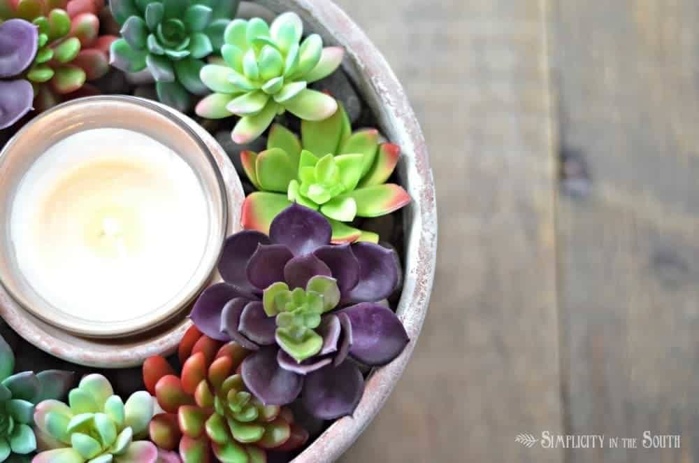 succulent centerpiece