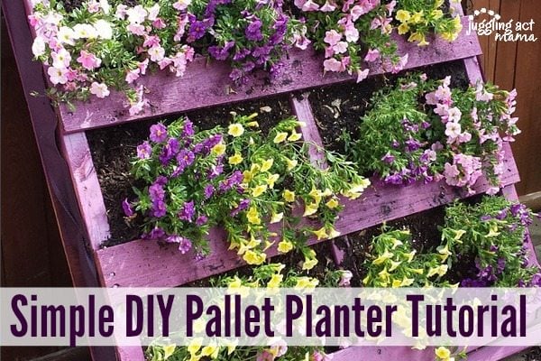 DIY pallet planter
