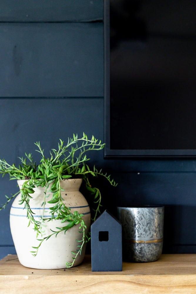 tall vase with a succulent planted in it