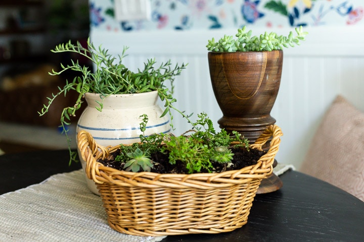 three vases and baskets with plants planted in them 