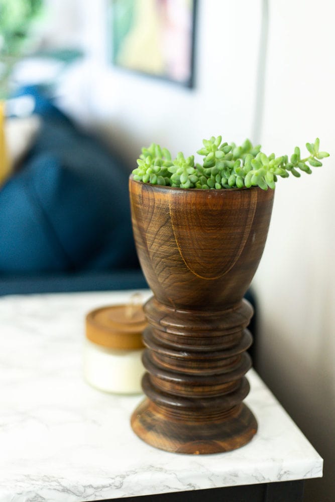 tall wooden vessel with a succulent in it 