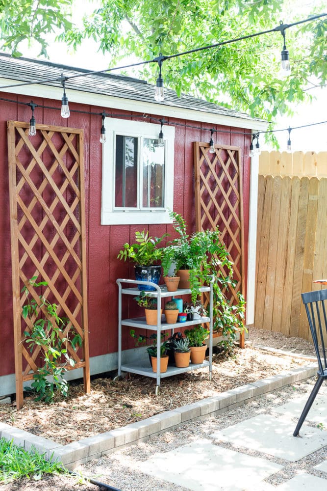 Backyard patio with trellises and plants on a bar cart