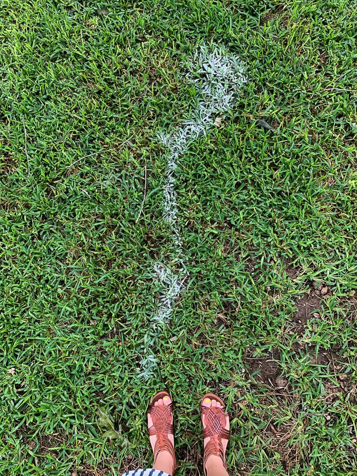 a picture drawn in the grass using spray chalk