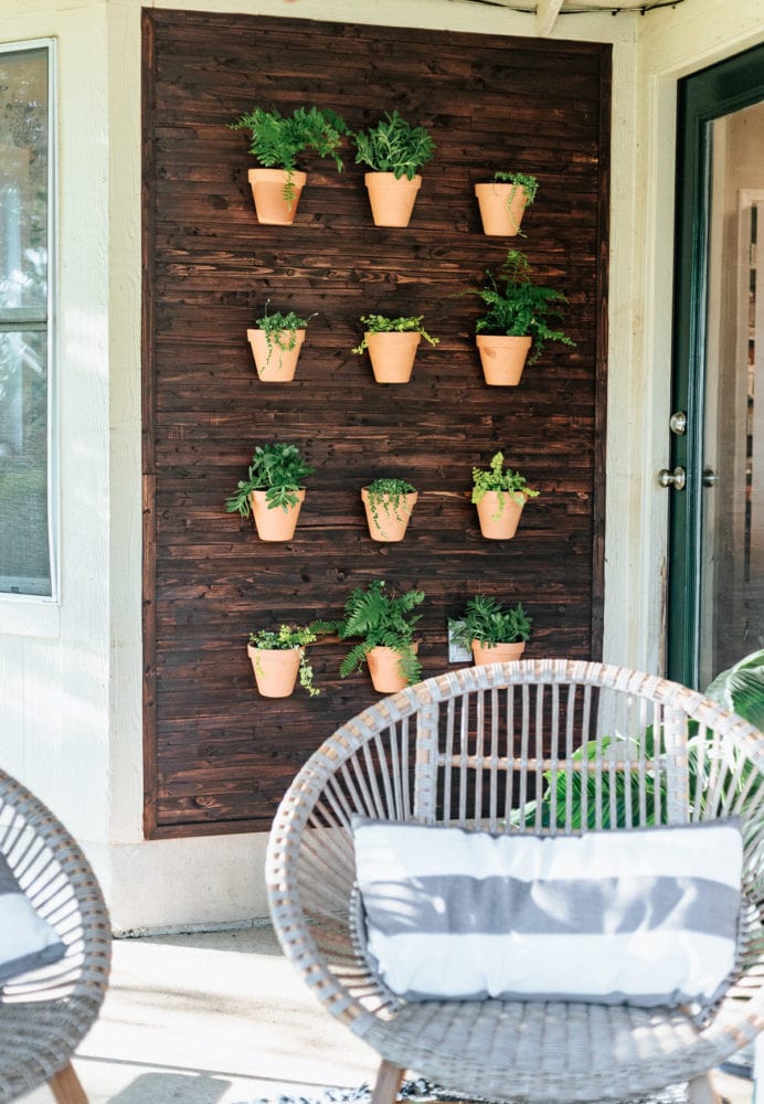 outdoor plant wall