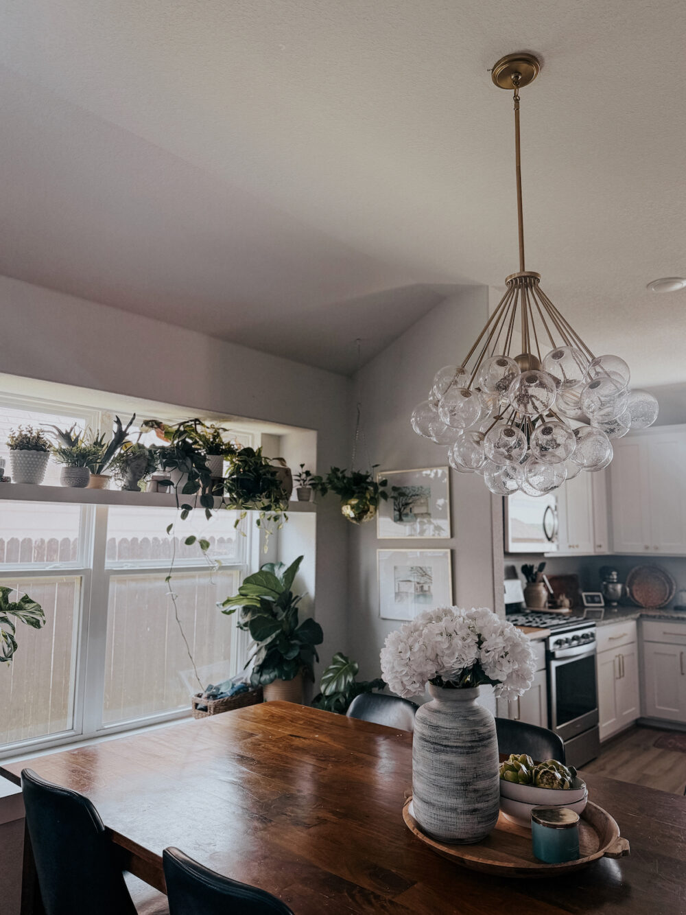 dining room of a home with lots of plants 