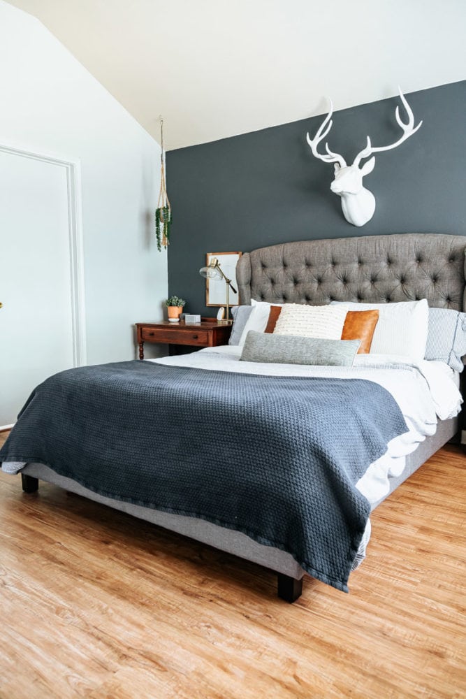 master bedroom with a dark blue accent wall and a bed with blue bedding 