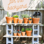 Cinderblock plant shelves with text overlay - DIY projects for the backyard