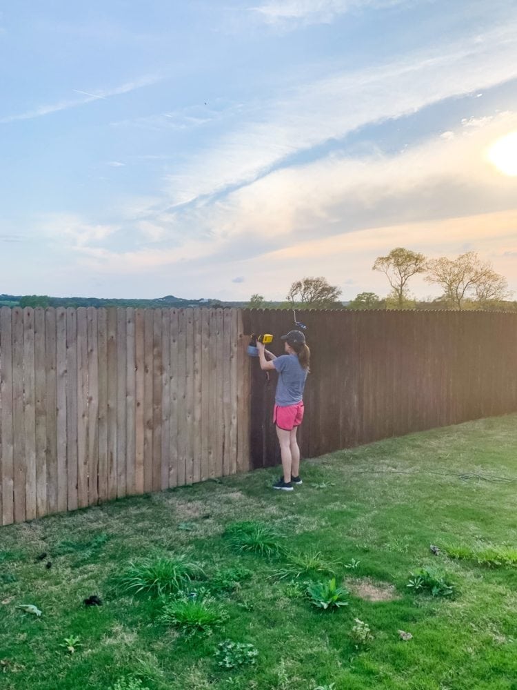 woman staining a fence