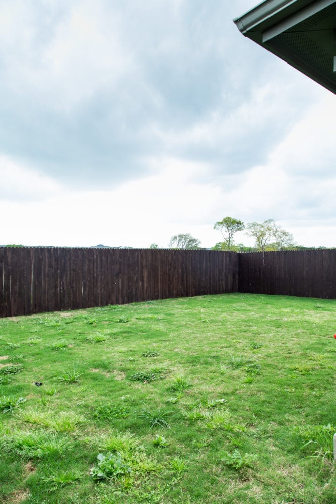 a recently-stained fence