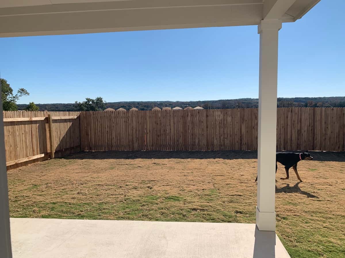 backyard before
