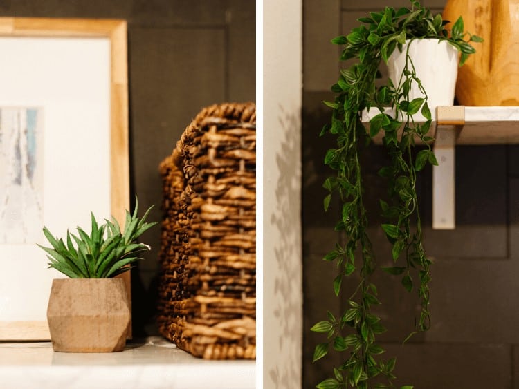 close up of faux plants in laundry room
