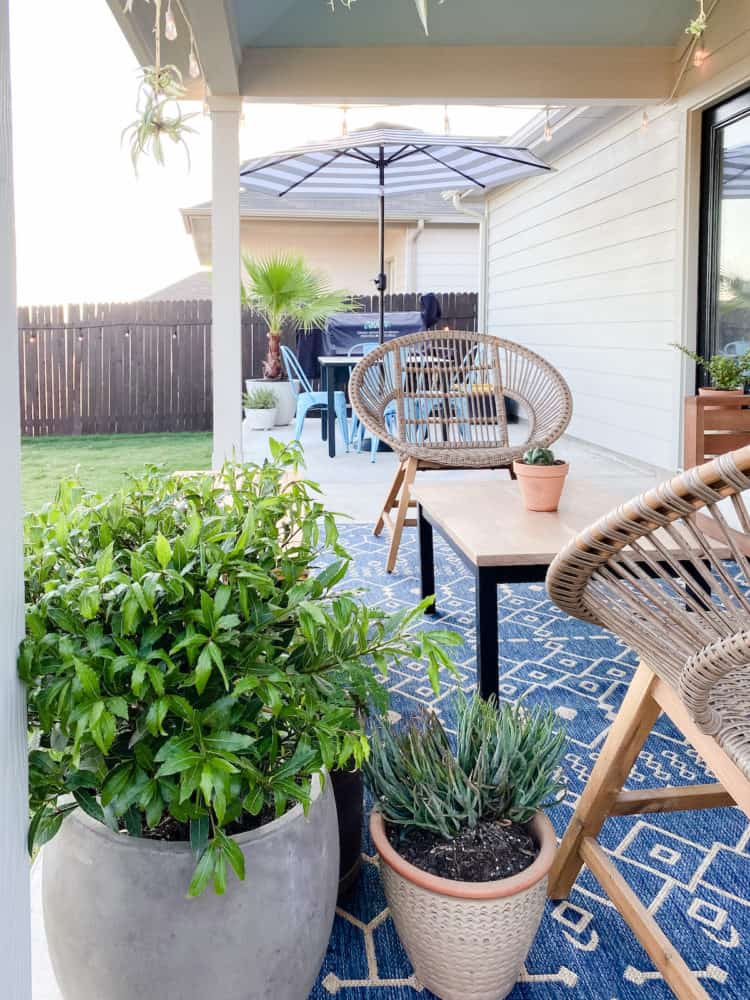 small and cozy plant-filled patio 