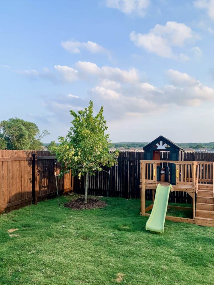 a tree and playhouse in a small backyard 