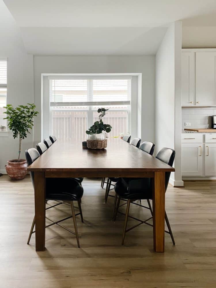 dining room with dwarf umbrella tree 