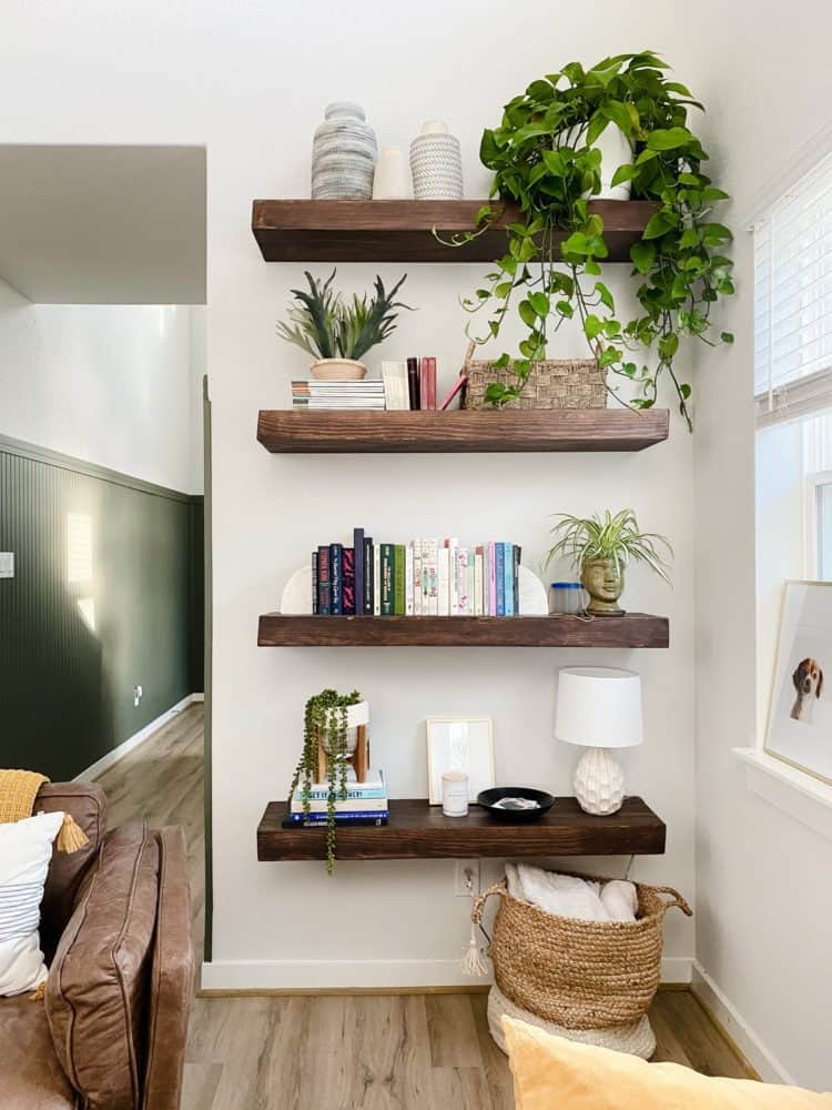floating shelves with multiple plants 