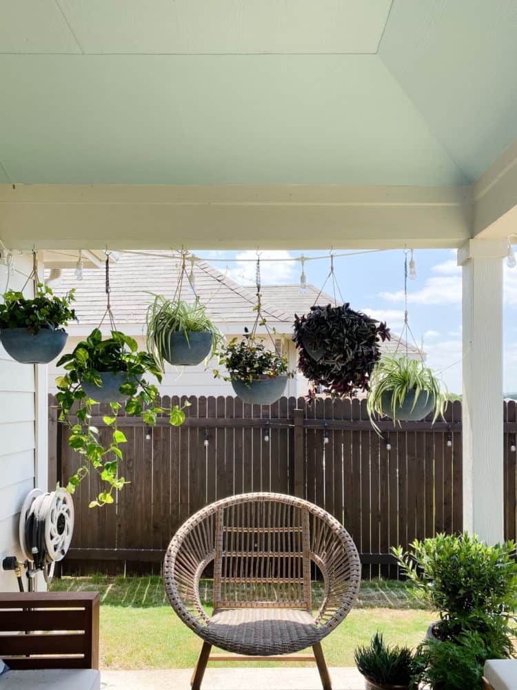 back patio with six hanging plants 