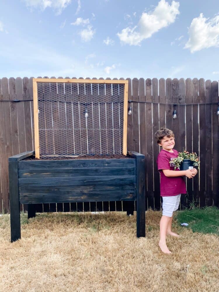 boy standing next to a elevated garden bed 