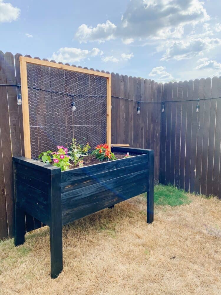 black cedar planter 