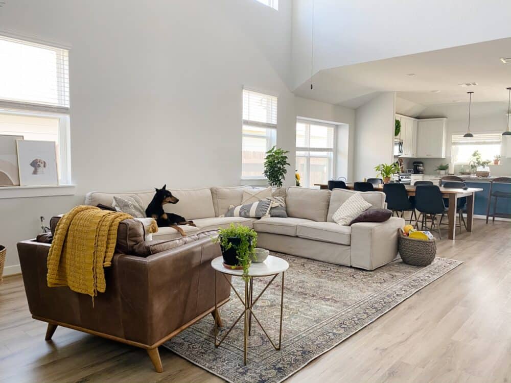 open concept living area with a dog on the couch 