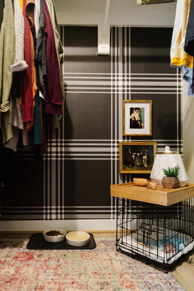 corner of closet with plaid wallpaper and dog gear 