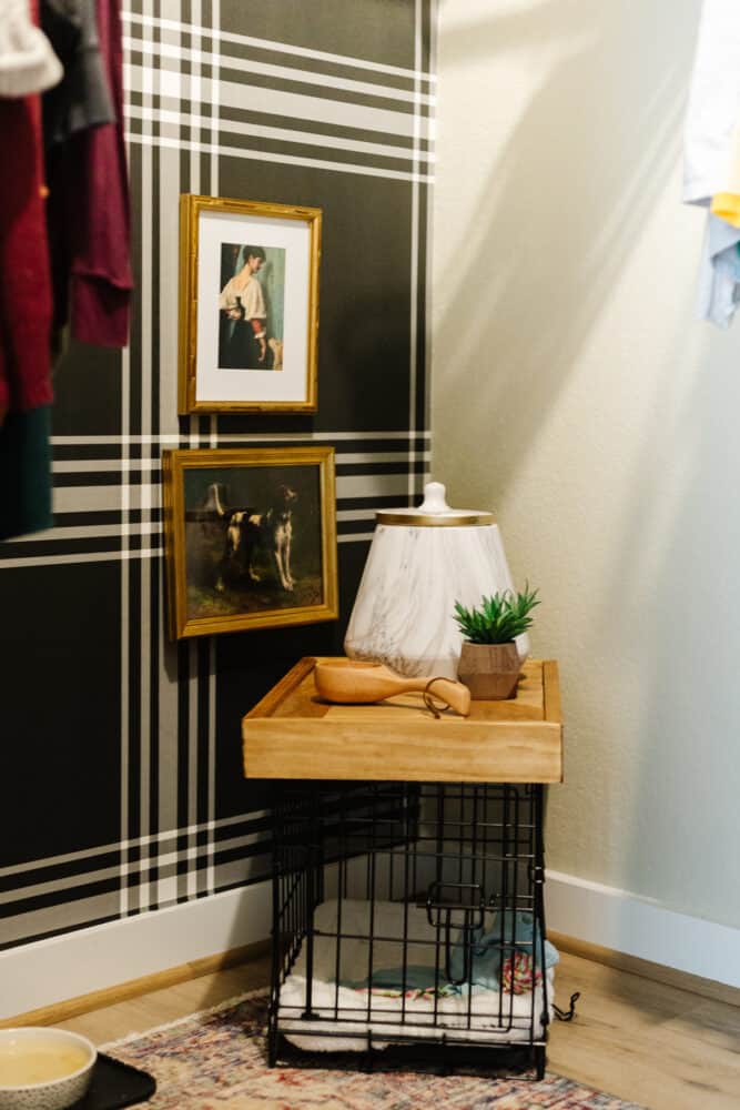 close up of closet with dog kennel and accessories