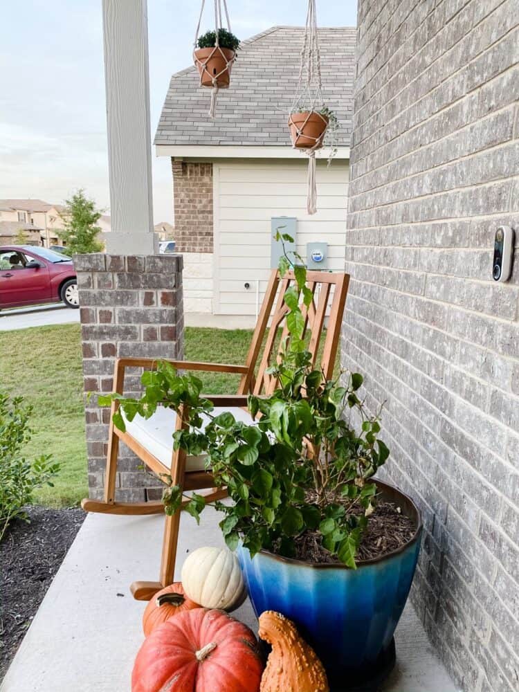 front porch with pumpkins and fall plants 