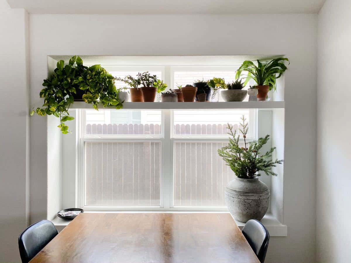 plant shelf kitchen wall