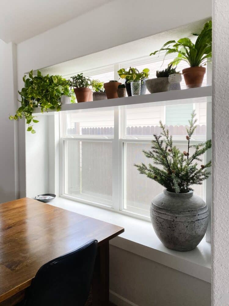 close up view of window with DIY plant shelf 
