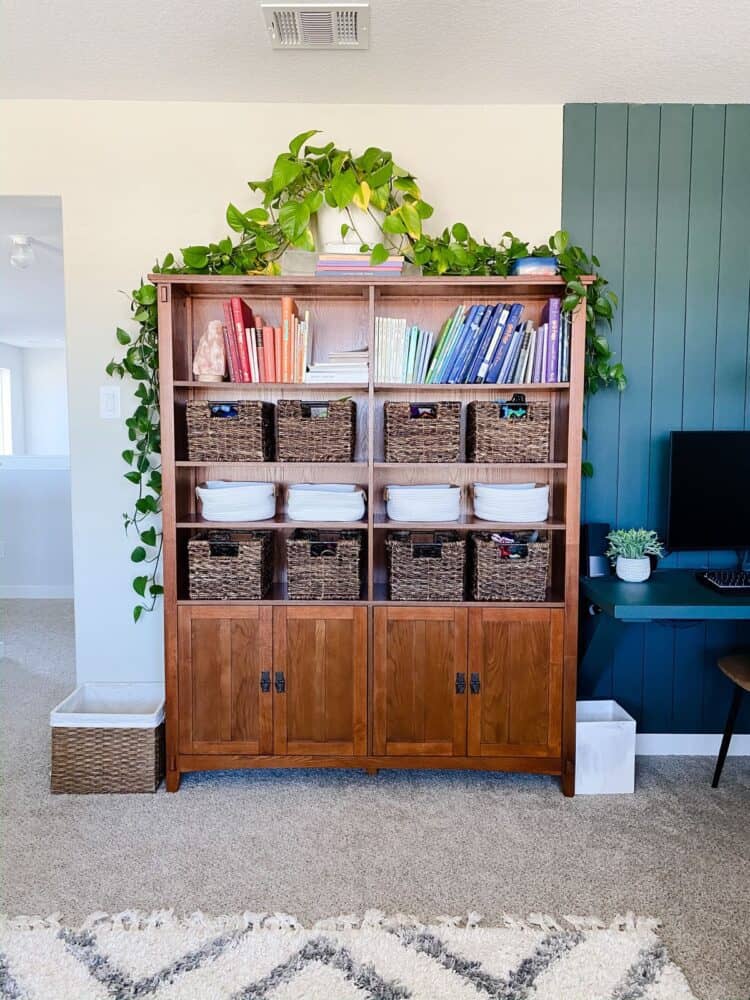 play room with shelf storage 