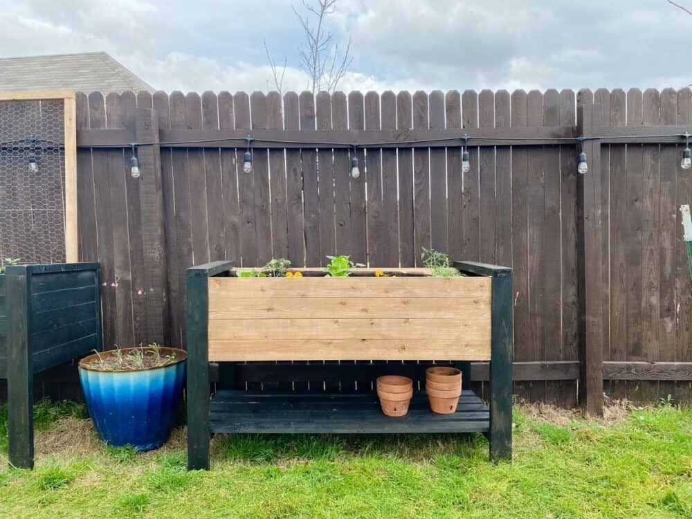 Image of Wooden raised planter with a simple design