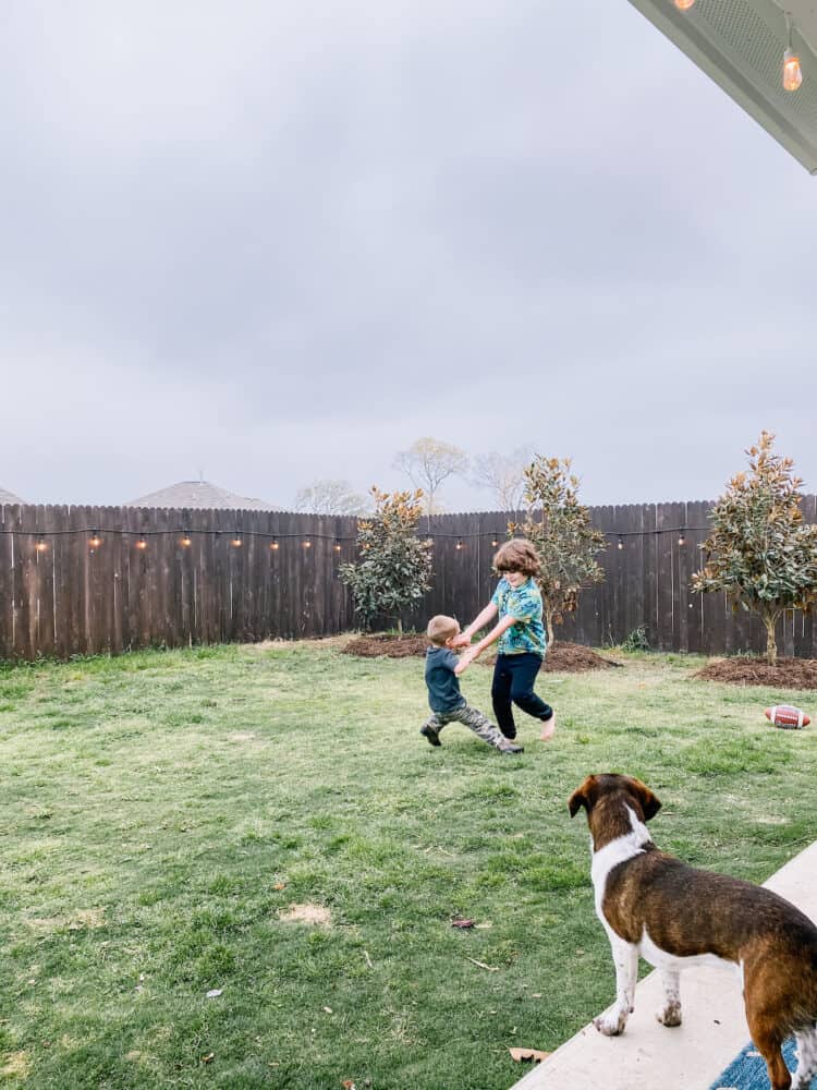 Two young boys playing in a backyard with newly-planted Magnolia trees 