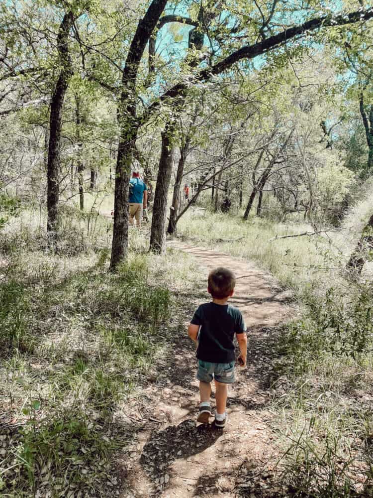 Man and two young boys hiking 