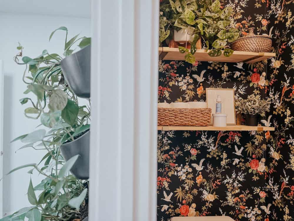 bathroom with a small water closet with black floral wallpaper and hanging shelves