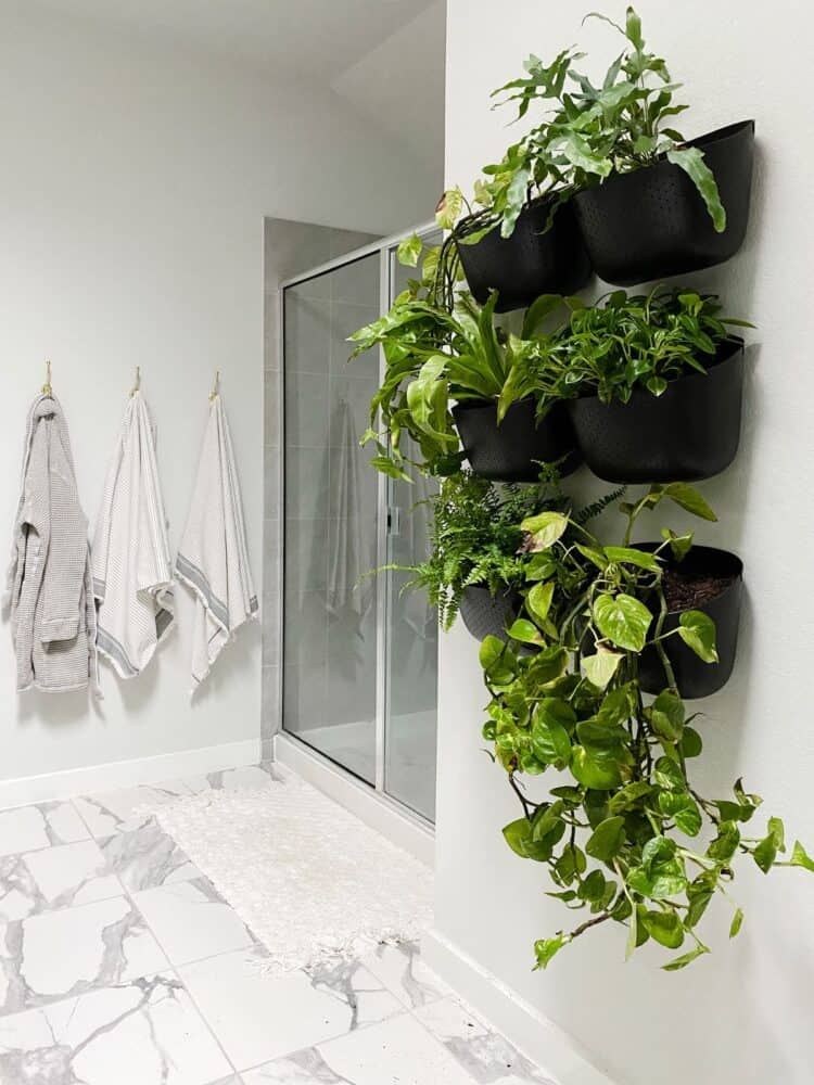 Bathroom with a living wall made from WallyGro planters
