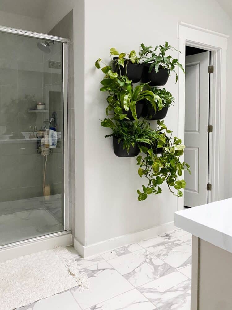 living wall in a bathroom