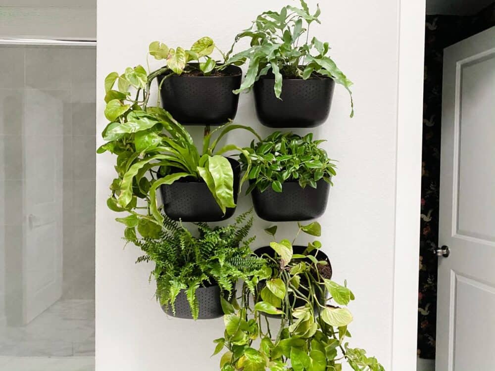 a bathroom wall with WallyGro Eco Planters in a grid