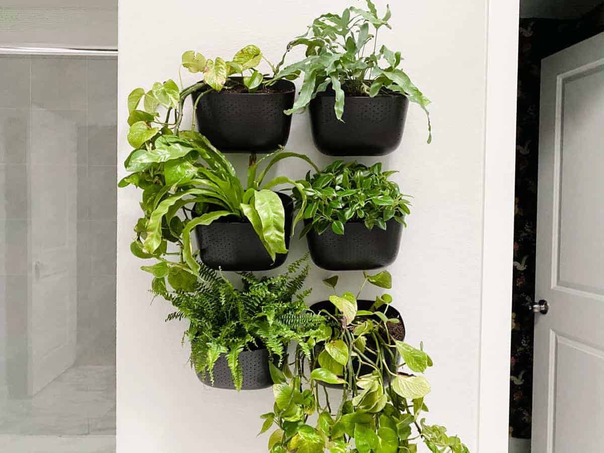 DIY Plant Wall {WallyGrow Review!}