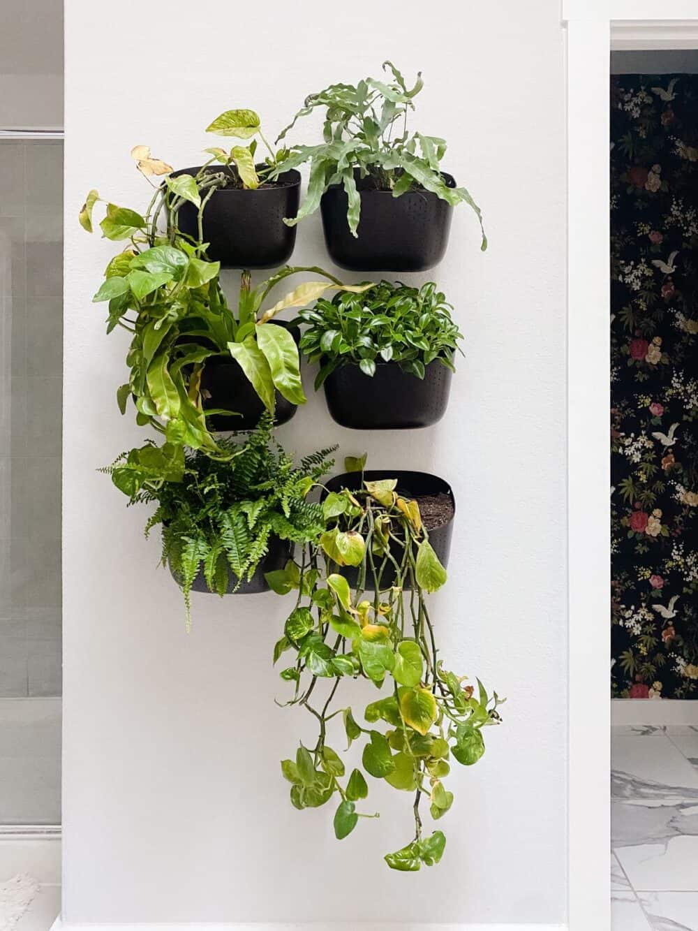 bathroom with living plant wall