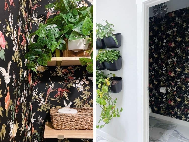 side by side images of bathroom with black floral water closet 