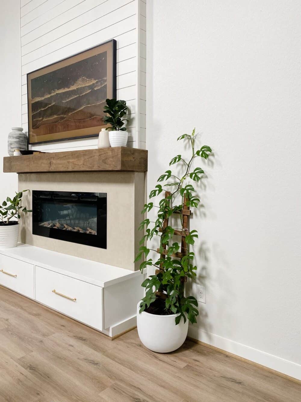 A tall fireplace with a Rhaphidophora Tetrasperma sitting next to it