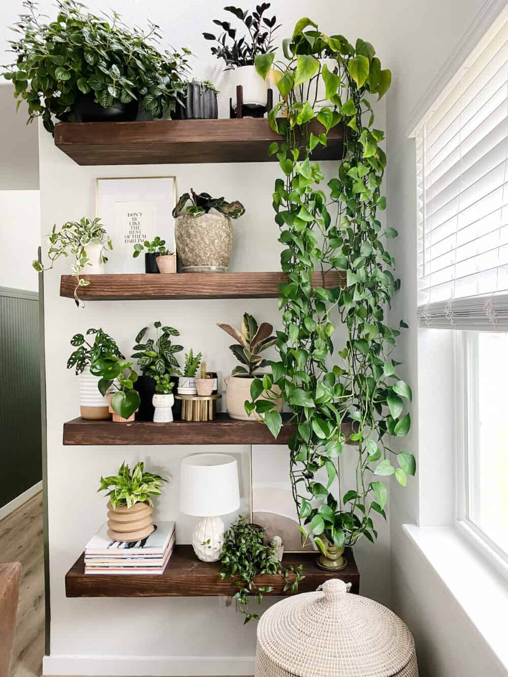 A set of floating shelves filled with plants