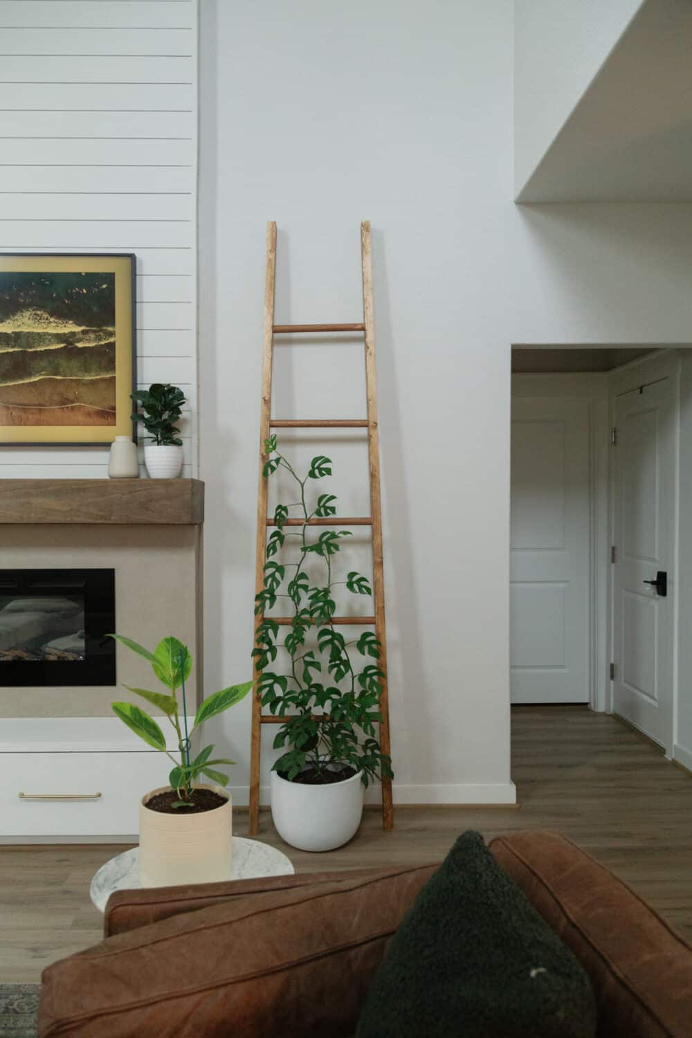 Rhaphidophora Tetrasperma plant on a DIY indoor plant trellis 