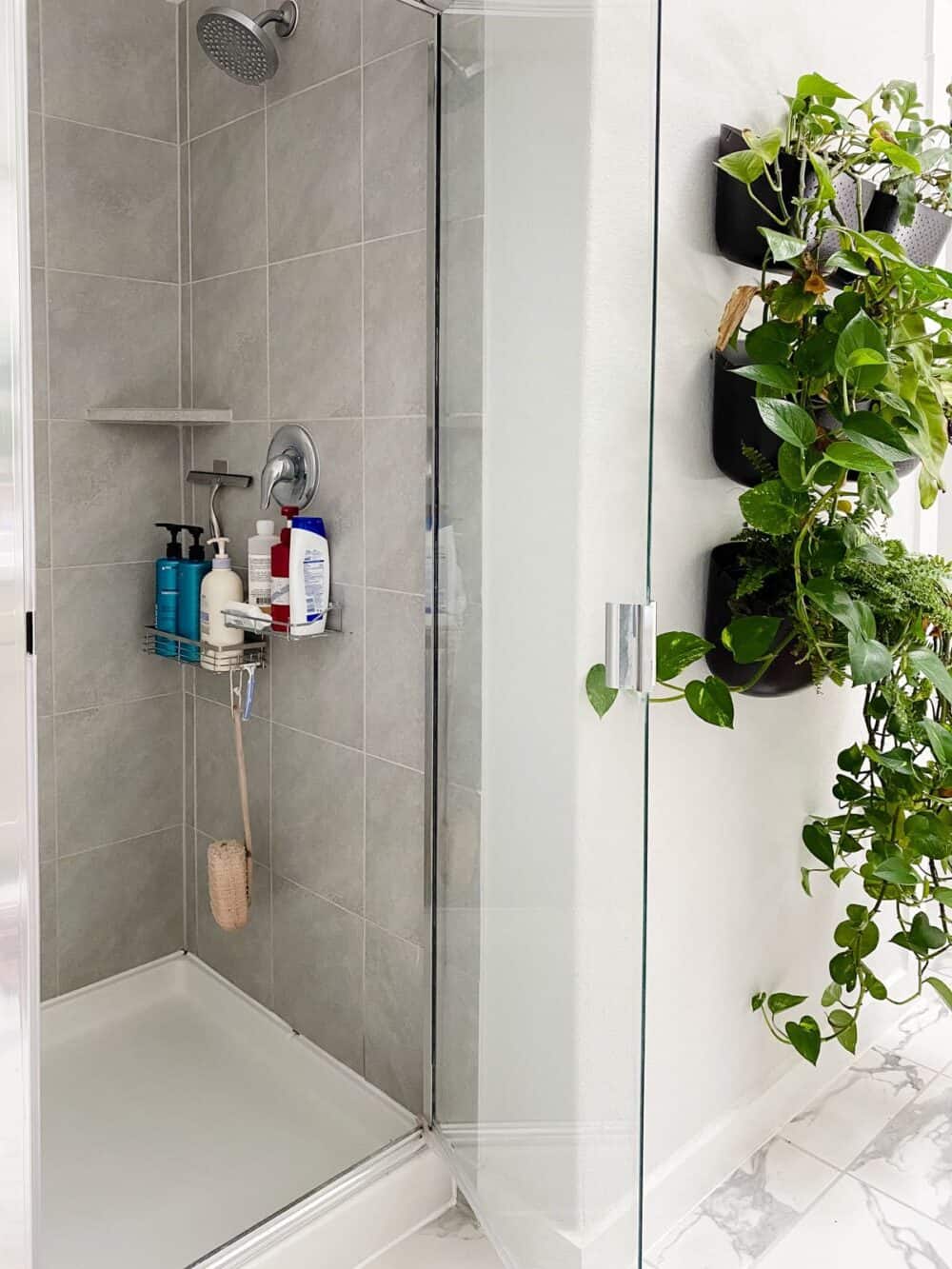 Shower with shelves for toiletries 
